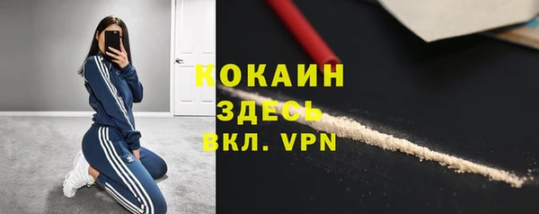 мяу мяу мука Арсеньев