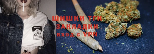 гашик Балахна